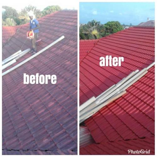 Painting Aluminum Roofing